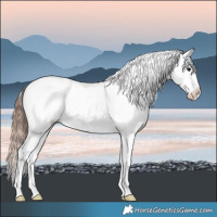 Horse Color:White Spotted Brown Tobiano Appaloosa 