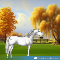 Horse Color:White Spotted Chocolate Palomino Splash Tobiano Appaloosa 