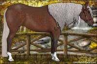 Horse Color:Silver Bay 