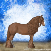 Horse Color:Chestnut Frame 