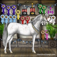 Horse Color:Brown Mushroom Sabino 