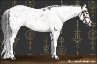Horse Color:Bay Sabino Appaloosa