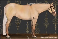 Horse Color:Silver Bay Dun