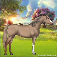 Horse Color:Red Dun 