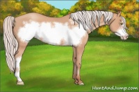 Horse Color:Silver Amber Champagne Frame 