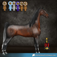 Horse Color:Brown 