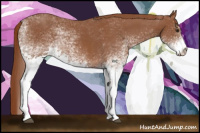 Horse Color:White Spotted Chestnut 