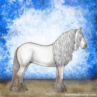 Horse Color:Gray Red Dun 