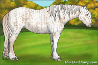 Horse Color:Chocolate Palomino Pearl Tobiano Frame  and Gray Chocolate Palomino Pearl Tobiano Frame 