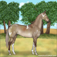 Horse Color:Gray White Spotted Chocolate Silver Brown Dun Tobiano Brindle 
