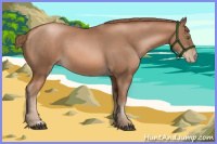 Horse Color:Liver Chestnut Pearl 