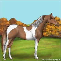 Horse Color:Red Roan Tobiano 