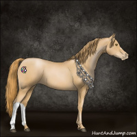 Horse Color:Chestnut Pearl 