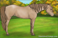 Horse Color:Black Pearl 