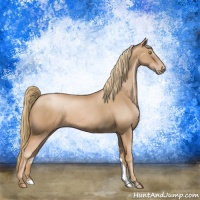 Horse Color:Chestnut Pearl 