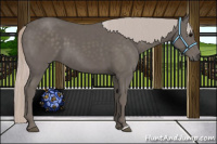 Horse Color:Silver Black 