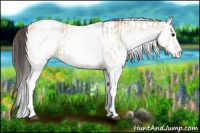 Horse Color:White Spotted Bay Dun Rabicano  and White Spotted Amber Champagne Dun Rabicano 