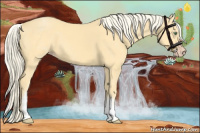 Horse Color:White Spotted Gold Cream Champagne 