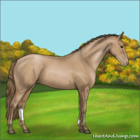 Horse Color:Black Pearl 