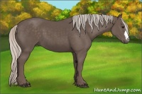 Horse Color:Silver Black 