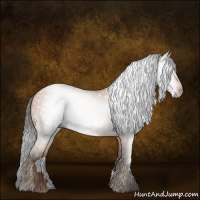 Horse Color:Gray Amber Champagne 