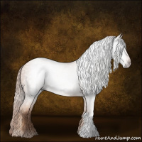 Horse Color:Gray Gold Champagne 