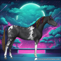 Horse Color:Painted Black Tobiano 