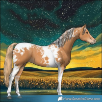 Horse Color:Chestnut Tobiano 