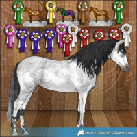 Horse Color:Blue Roan Splash Frame Rabicano