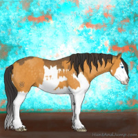 Horse Color:Buckskin Splash  and Buckskin Splash 