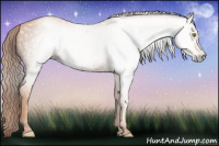 Horse Color:Gray Gold Champagne 