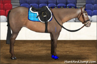 Horse Color:Gray Sable Champagne 