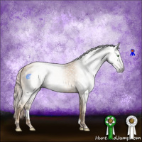 Horse Color:Gray Gold Cream Champagne 