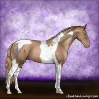 Horse Color:Liver Chestnut Pearl Tobiano