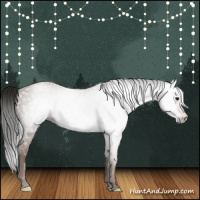 Horse Color:Gray Classic Champagne 