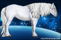 Horse Color:Gray Red Roan 