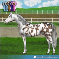 Horse Color:Liver Red Dun Near Leopard Brindle 