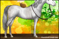 Horse Color:Gray Sable Champagne 