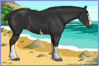 Horse Color:Gray White Spotted Liver Chestnut