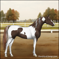 Horse Color:Liver Chestnut Tobiano 