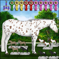 Horse Color:Gray Silver Black Pearl Tobiano Appaloosa 