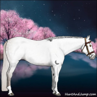 Horse Color:Gray Silver Black Pearl Tobiano Varnish 