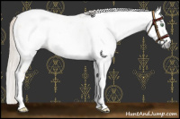 Horse Color:Gray Silver Amber Cream Champagne Roan Dun Splash Tobiano Frame Near Leopard Rabicano 