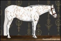 Horse Color:Chocolate Palomino Pearl Tobiano Frame Appaloosa and Chocolate Palomino Pearl Splash Tobiano Frame Appaloosa