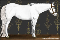 Horse Color:Gray Silver Amber Cream Champagne Roan Dun Splash Tobiano Frame Appaloosa Rabicano 