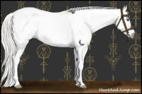 Horse Color:Gray Silver Amber Cream Champagne Roan Dun Splash Tobiano Frame Appaloosa Rabicano