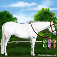 Horse Color:Liver Chestnut Sabino Splash Snowcap  and Gray Liver Chestnut Sabino Splash Snowcap 
