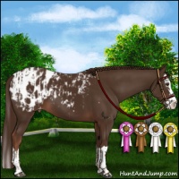 Horse Color:Liver Chestnut Sabino Splash Appaloosa  and Liver Chestnut Sabino Splash Appaloosa