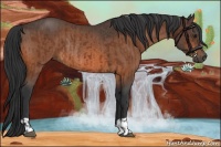 Horse Color:Brown Rabicano  and Brown Rabicano 