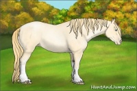 Horse Color:Buckskin Roan Pearl  and Buckskin Roan Pearl 